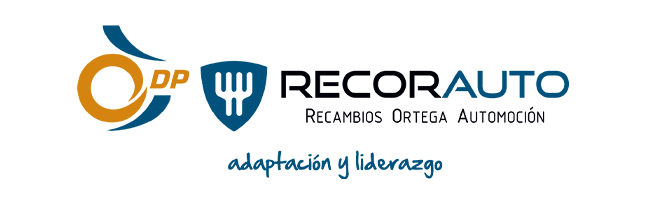 Recorauto - Dipart